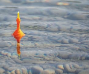 CleverFloat im Wasser